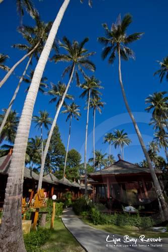 Отель Lipa Bay Resort