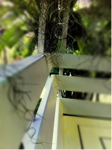 Отель Khao Yai Cottage