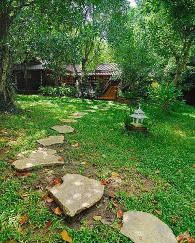 Viva Chiang Mai Yoga Meditation Home Stay