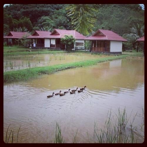 Гостевой дом Kapong Garden Resort