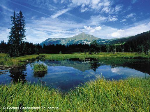 Отель Gasthof Hotel Geltenhorn
