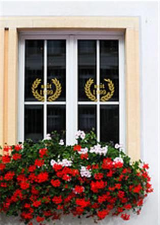Отель Gasthof zum Wilden Mann