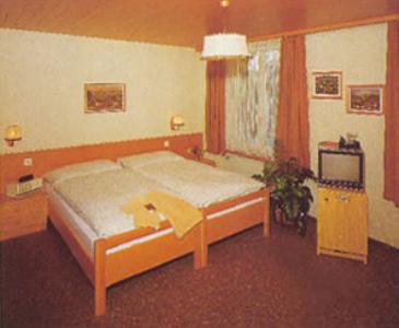 Отель Hotel Restaurant Moléson