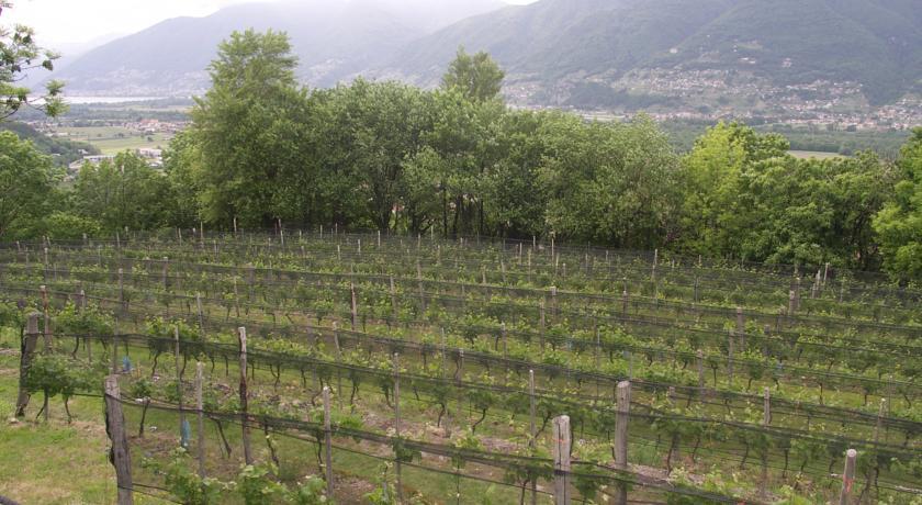 Мини-отель Agriturismo Viva Bacco