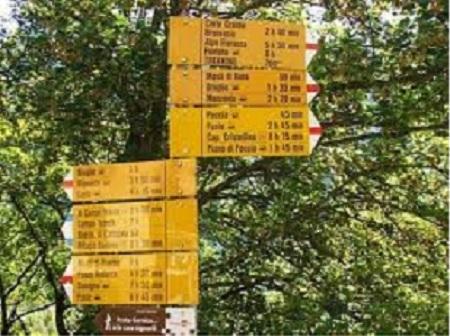 Отель Ristorante Garni Lavizzara
