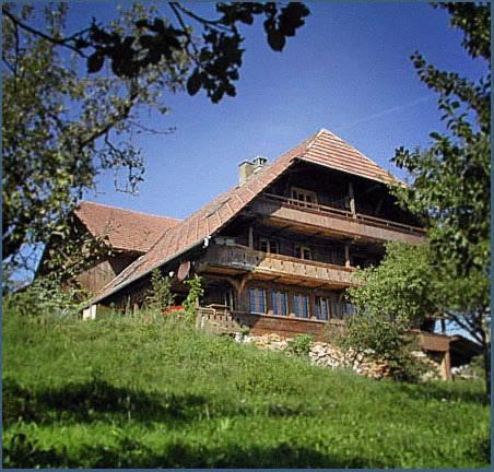 Мини-отель BnB Gantrisch & Eco Lodge
