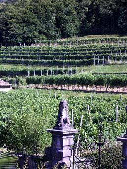 Гостевой дом B&B Castello di Brusata