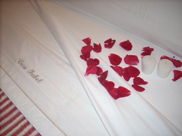 Гостевой дом Hostal Casa Isabel