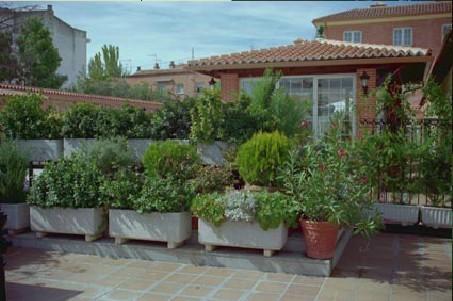 Гостевой дом Gran Hostal El Chiscón