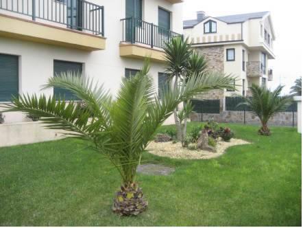 Отель Edif. Abelaira II Apartment San Cosme Barreiros