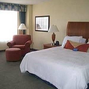 Отель Hilton Garden Inn Albany