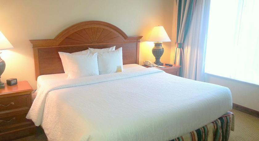 Отель Hilton Garden Inn Tampa North