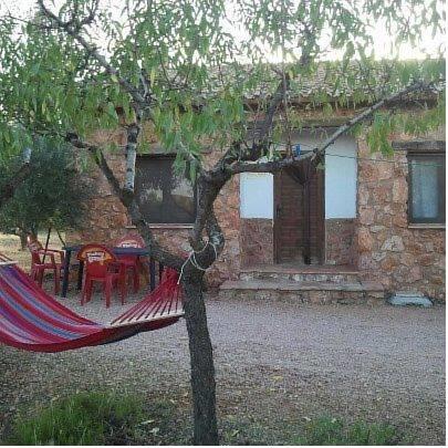 Отель Casas Rurales el Palomar