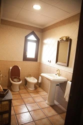 Отель Hotel Viñedos y Bodegas El Castillo