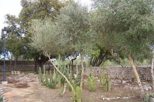 Отель Holiday Home Son Rosinyol Sineu