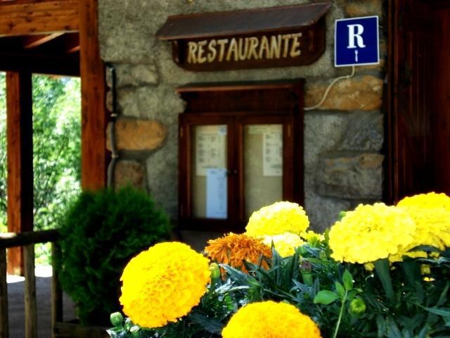 Отель Camping Valle de Bujaruelo