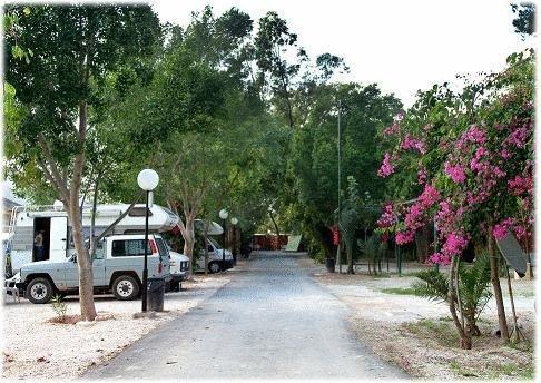 Отель Camping Las Palmeras