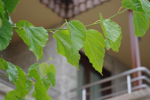 Отель Hotel Rural Noalla