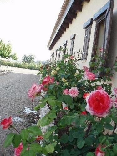 Отель Hotel Enoturismo Mainetes
