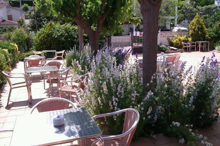 Отель Hotel Masia Mas Trader