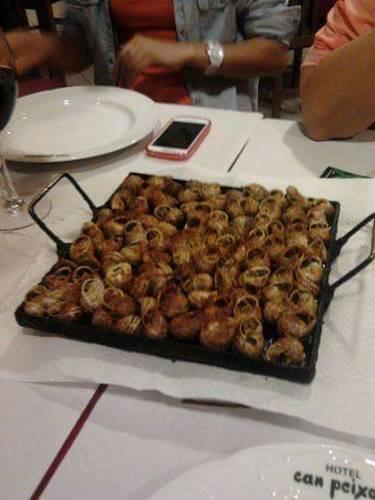 Отель Hotel Restaurant Can Peixan