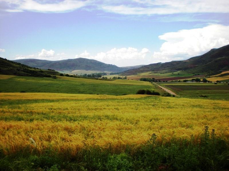 Отель Casa Rural Los Arrenes de Tarancueña