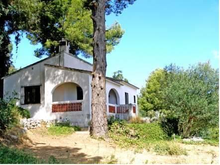 Апартаменты Holiday home Casa Oliva