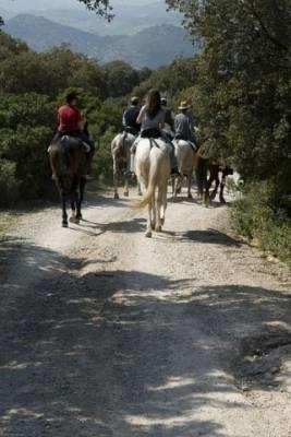 Отель Casa Rural Las Viñas