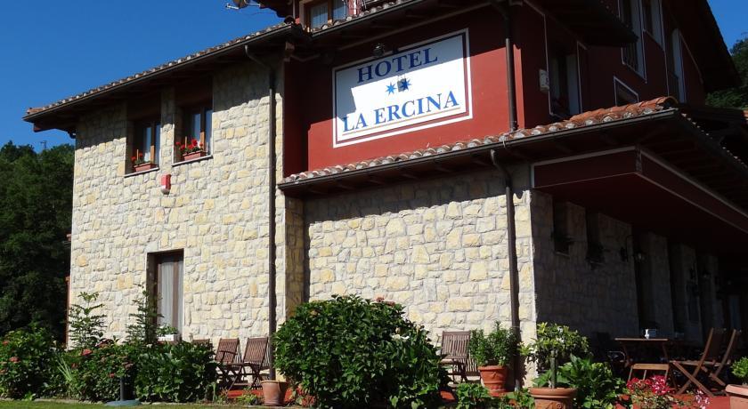 Отель Hotel La Ercina