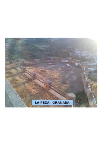 Апартаменты Apartamentos Pajaro Azul