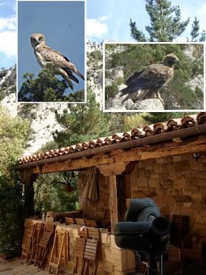 Гостевой дом Posada Molino del Canto