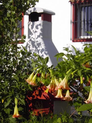 Отель Hacienda El Mirador