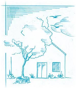 Отель Bungalows El Topo