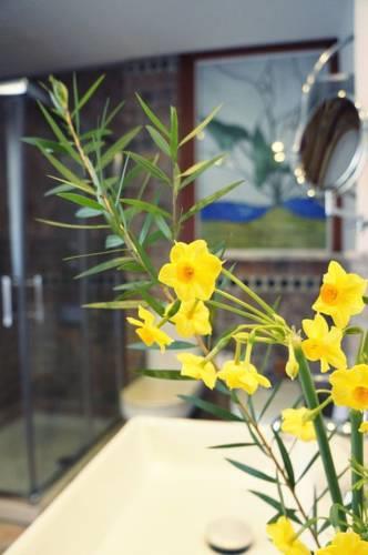 Мини-отель Park Hotel Villa Erina