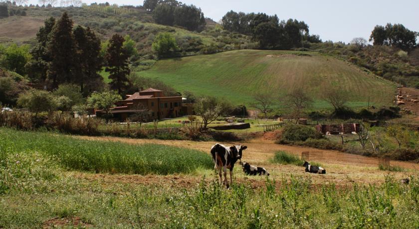 Гостевой дом Poshada Rural