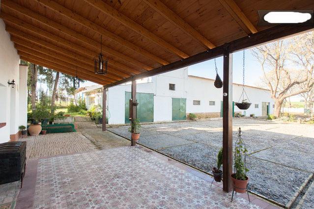 Апартаменты Apartamentos Cerros Bravo