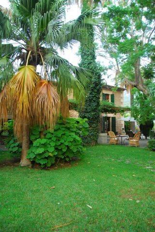 Отель Finca Cas Sant