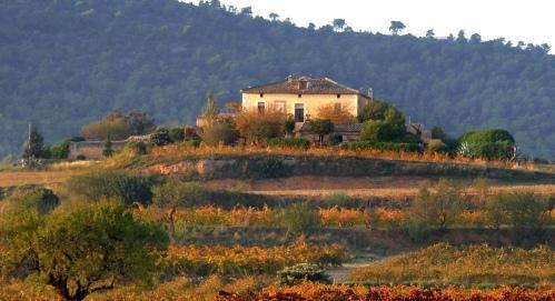 Отель Hotel Castell de Gimenelles