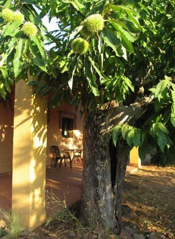 Отель Finca la Viriñuela