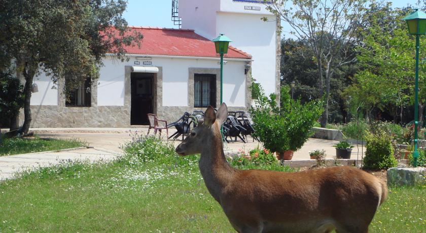 Отель San José