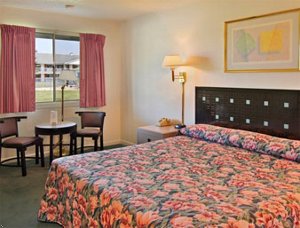 Отель Springfield Travelodge