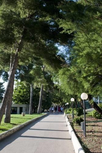 Отель Città del Mare Hotel Village