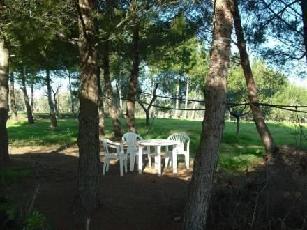 Апартаменты Holiday Home Ivana Specchiolla