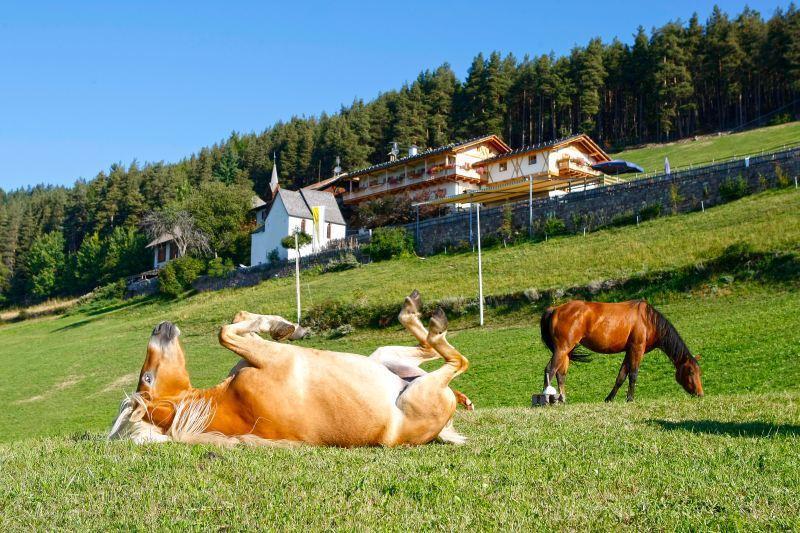 Отель Gasthaus Bad Siess