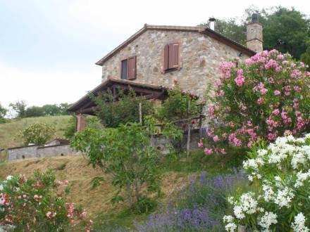 Апартаменты Holiday Home Podere Casalini Scansano
