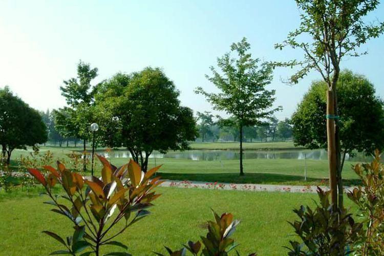 Апартаменты Holiday Home Martellago Bilo Duequattro II