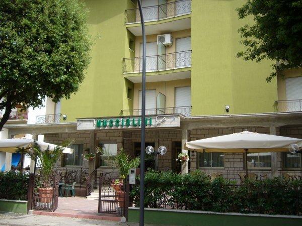 Отель Hotel Mucciolini