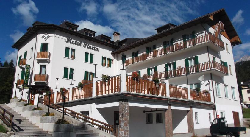 Отель Hotel Pineta