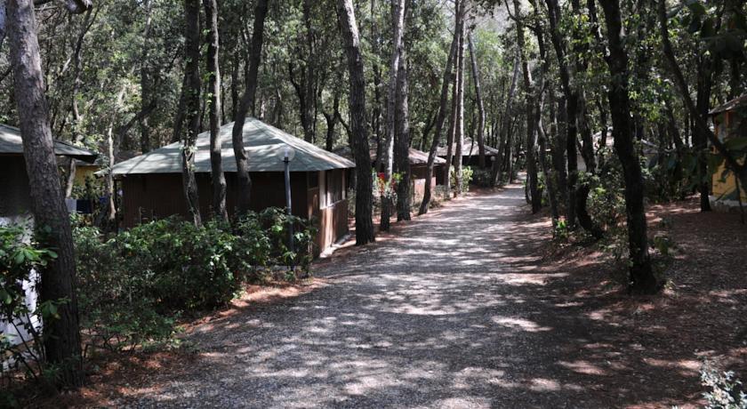 Отель Villaggio Club Cecina
