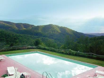 Апартаменты Apartment Trebbiano Gaiole in Chianti